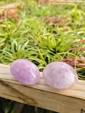 Amethyst Palm Stone