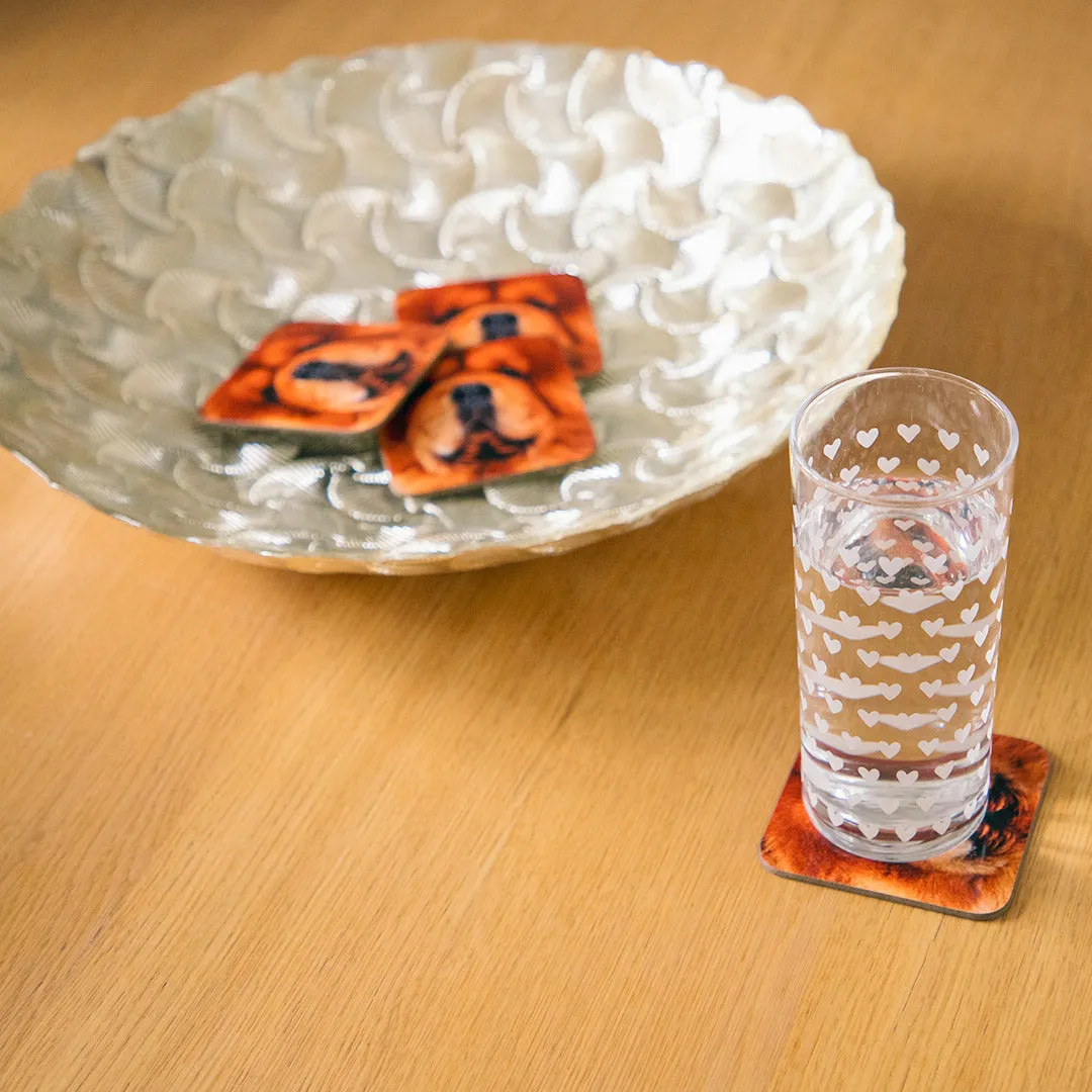 Dog Face Coasters