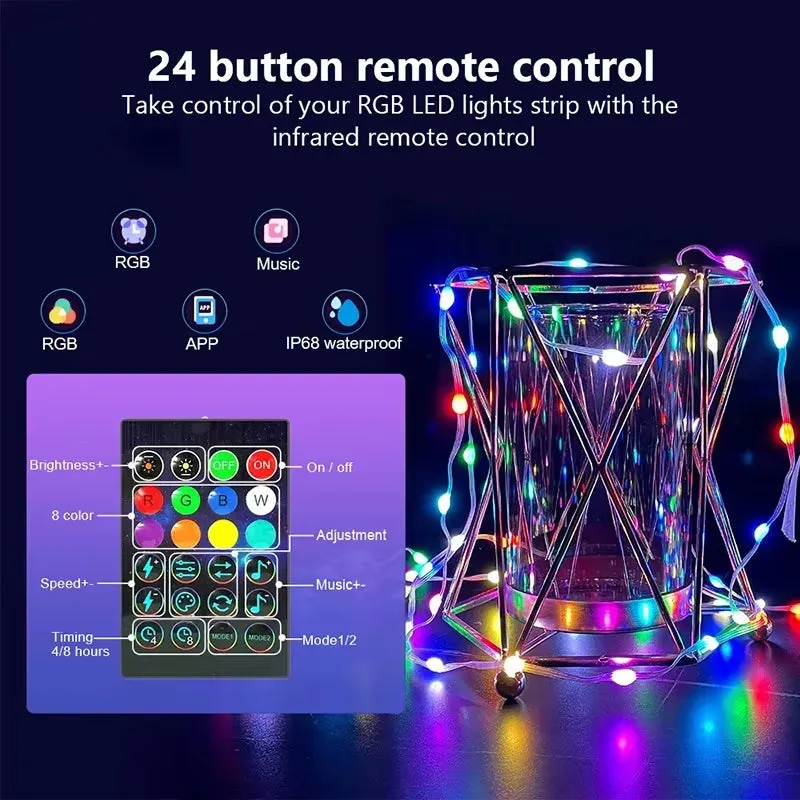 Dreamcolor Christmas Bluetooth Lights