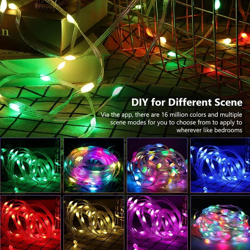 Dreamcolor Christmas Bluetooth Lights