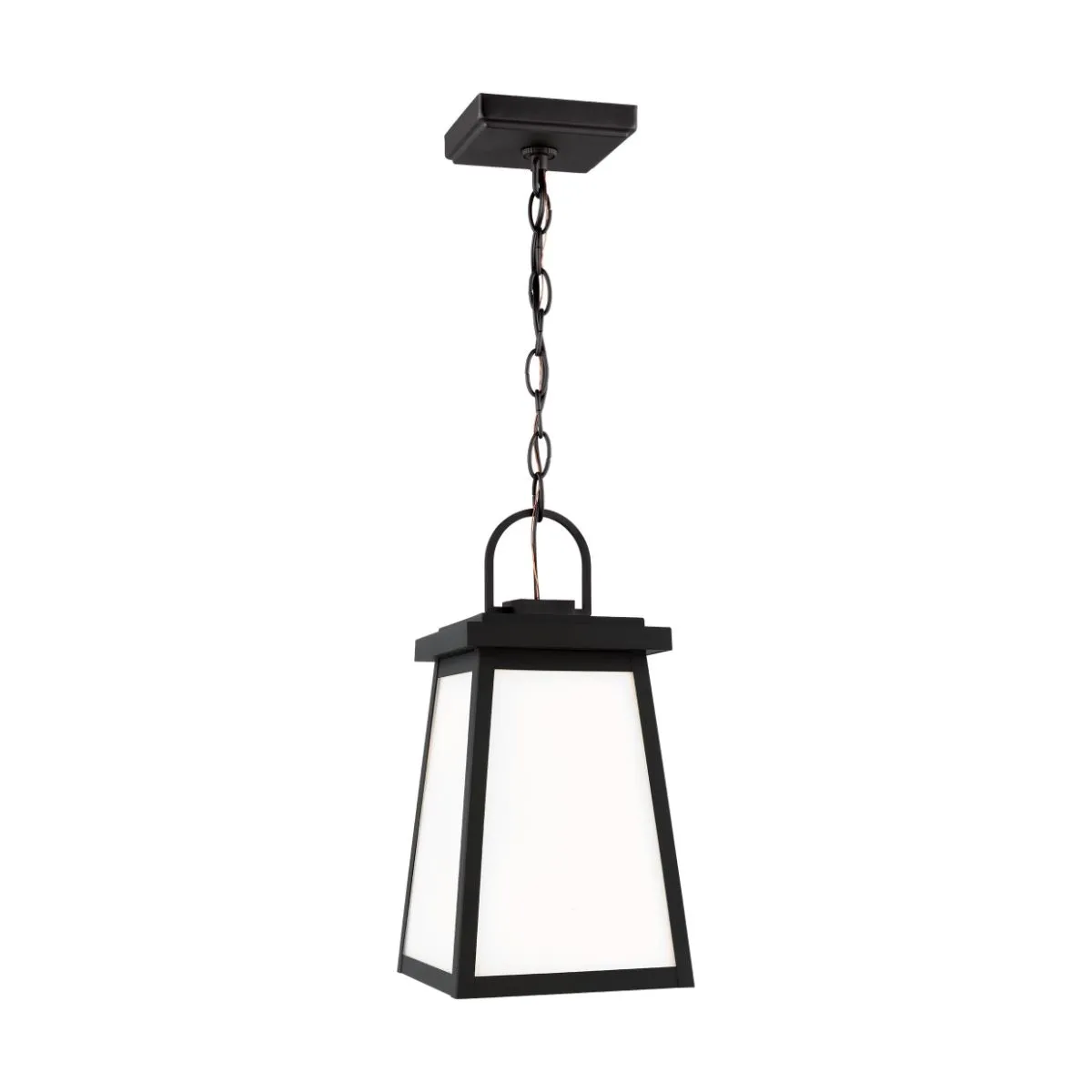 Founders LED Outdoor Pendant Light Black finish