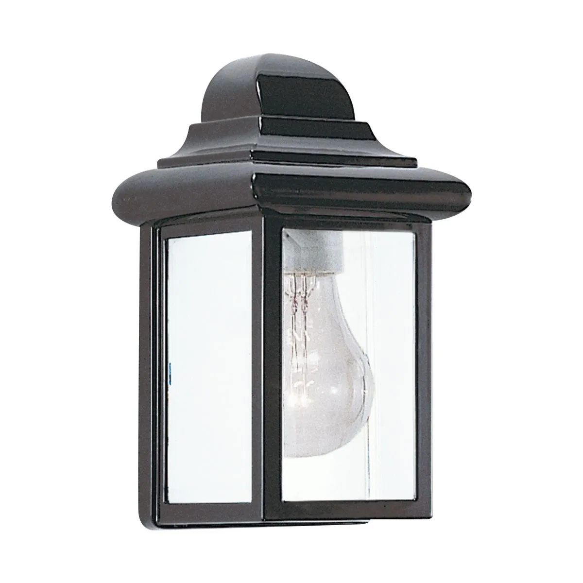 Mullberry Hill 9 In. Outdoor Wall Light Clear Beveled Black Finish