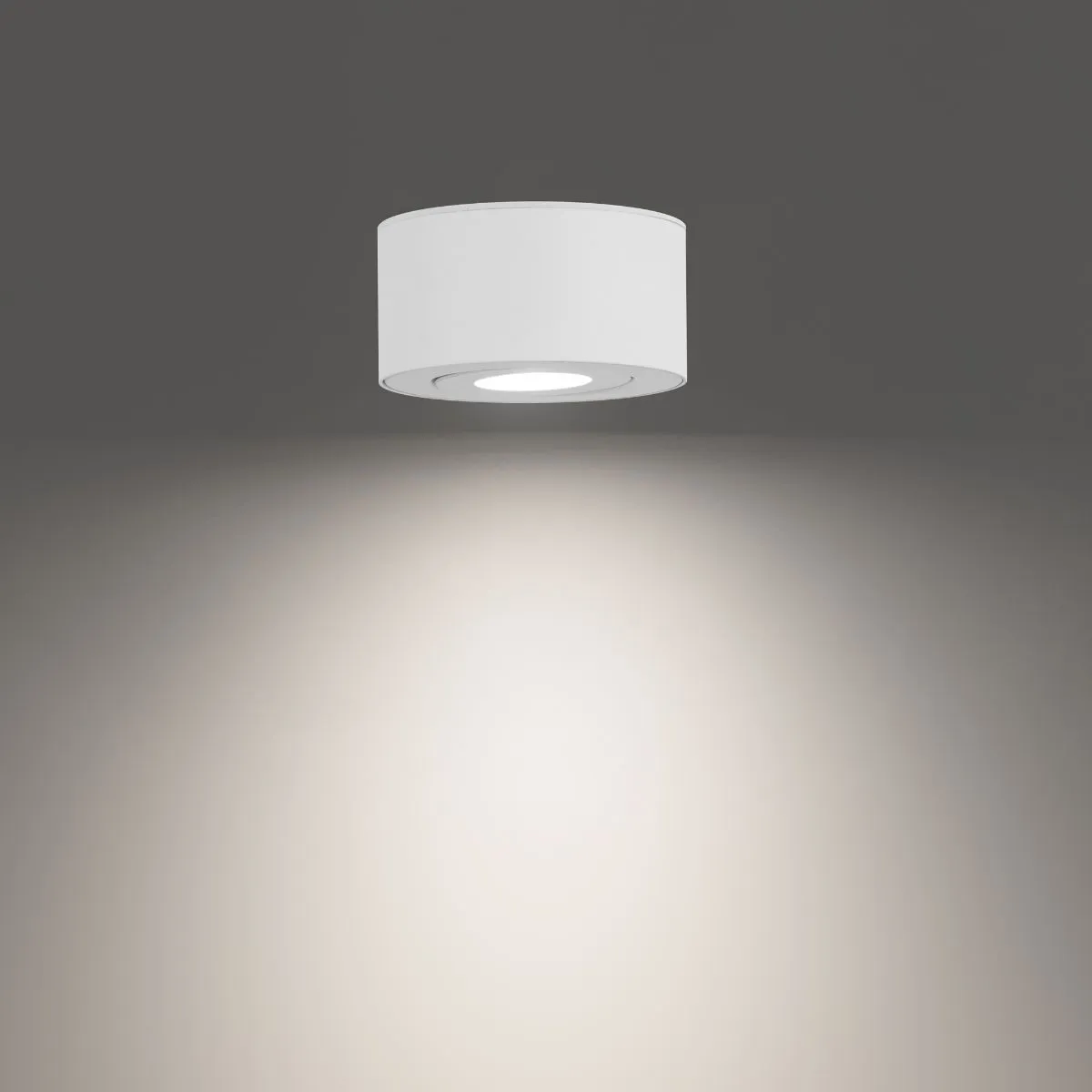 PEEK 5 in. LED Outdoor Flush Mount 4000K White finish