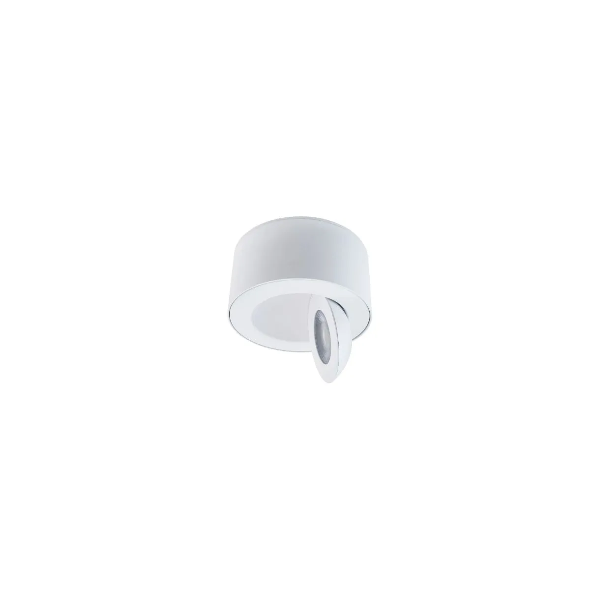 PEEK 5 in. LED Outdoor Flush Mount 4000K White finish