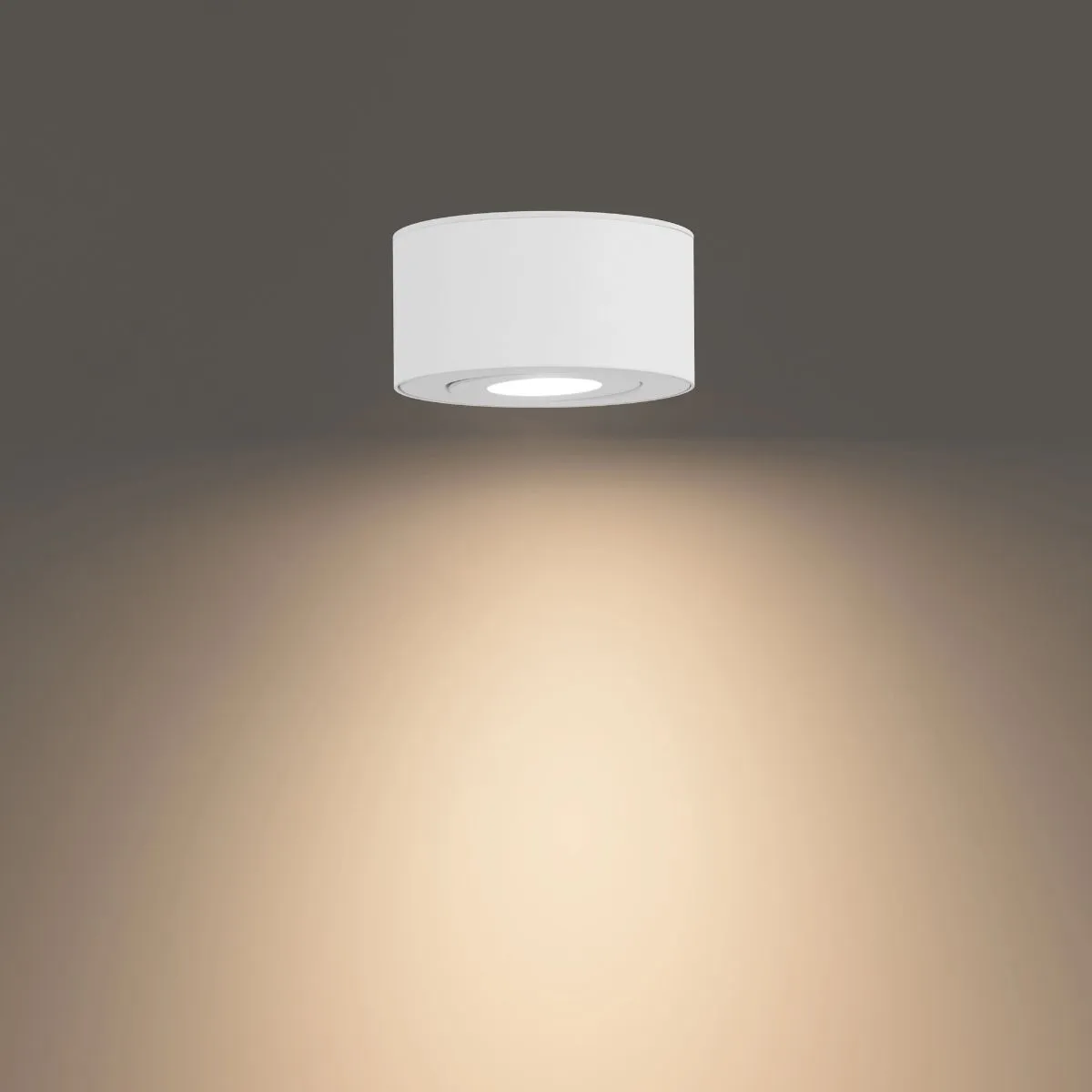 PEEK 5 in. LED Outdoor Flush Mount 4000K White finish